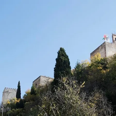 Alhambra Views! Amazing Loft With Sunny Terrace! Apartment *